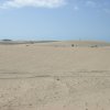 Fuerteventura-Landschaft (36)